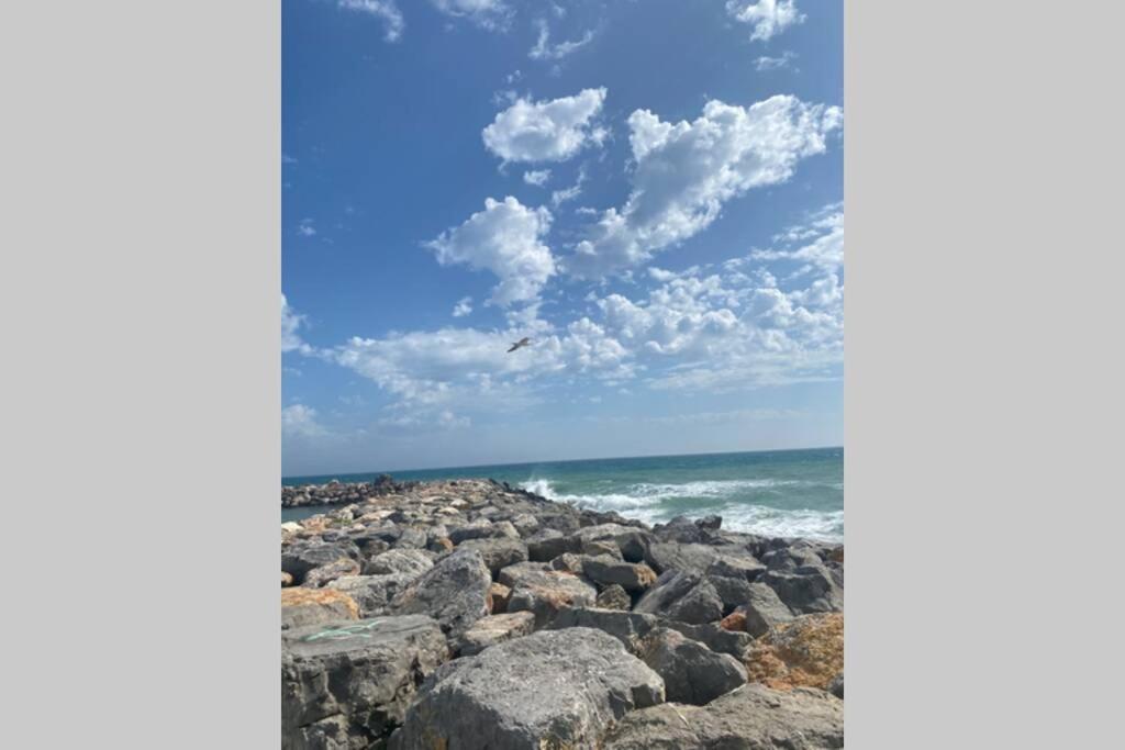 Maisonnette Climatisee Dans Naturiste * Leucate